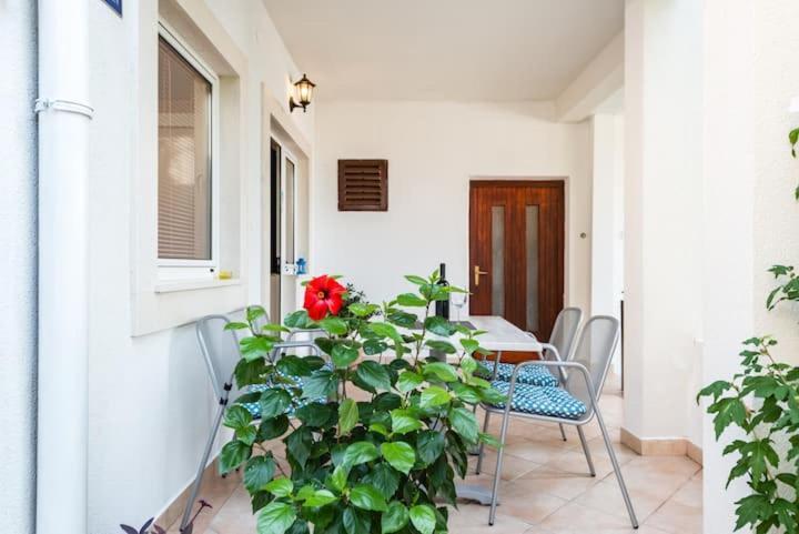 Apartments Nina M บาชกาโวดา ภายนอก รูปภาพ